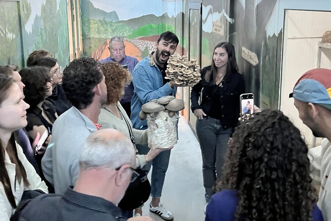 Guided tour and tasting in mushroom cultivation - The Family Business Behind the Experience