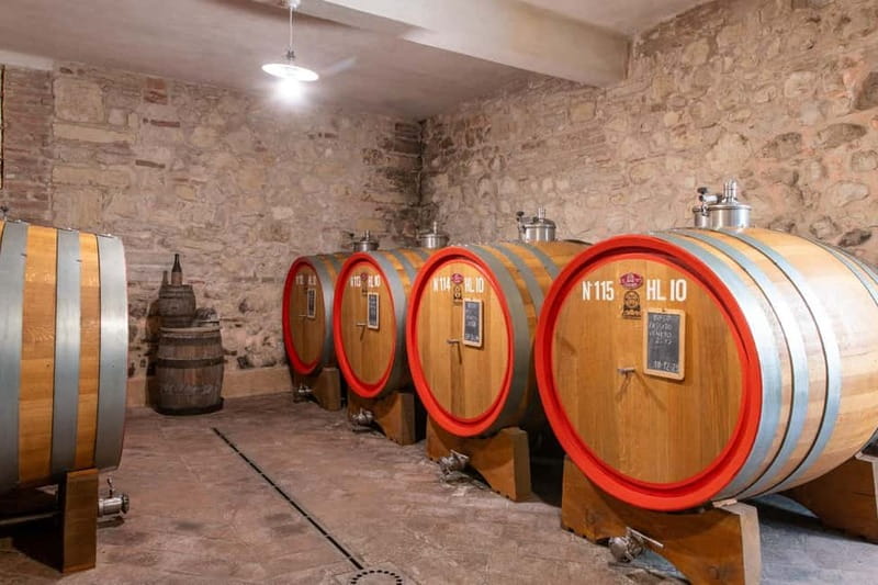 Guided tour and tasting with platter. - Why Choose This Veneto Wine Tour?