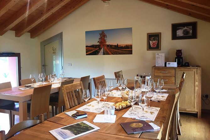 Guided Tour and wine tasting 5 wines to discover the Conegliano Valdobbiadene - What Sets This Tour Apart: Focus on Tradition and Innovation