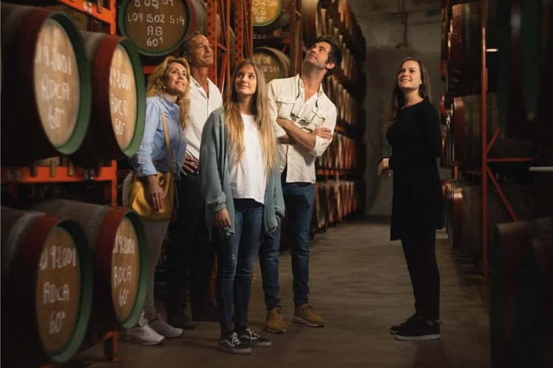 Guided Tour at Ron Arehucas Distillery - Explore the Ron Arehucas Distillery in Arucas, Spain