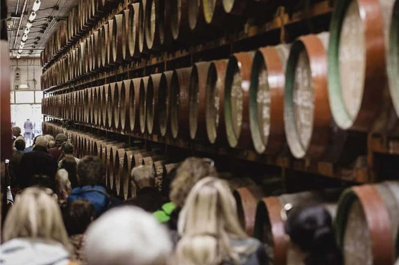 Guided Tour at Ron Arehucas Distillery - Flexibility and Bookings with No Upfront Payment