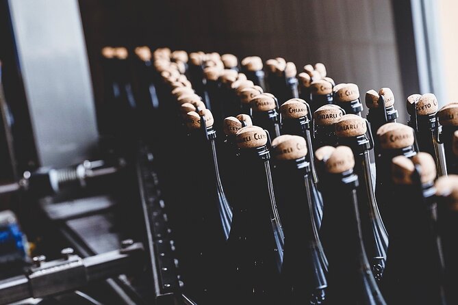 Guided Tour Cleto Chiarli with Lambrusco Tasting - Behind the Scenes at the Winery and Production Facilities