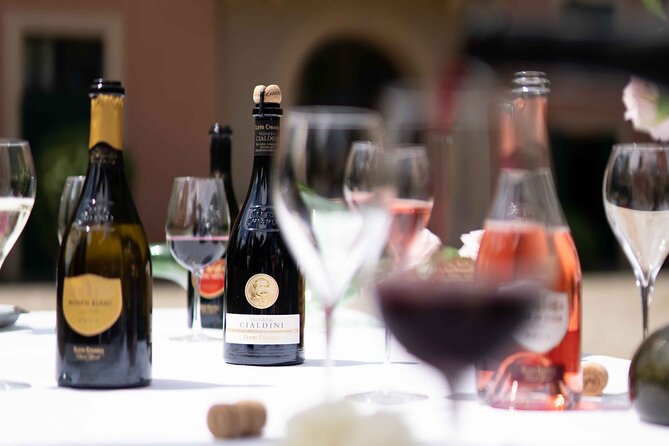 Guided Tour Cleto Chiarli with Lambrusco Tasting - The Charm of the Estates Historic Buildings and Gift Shop