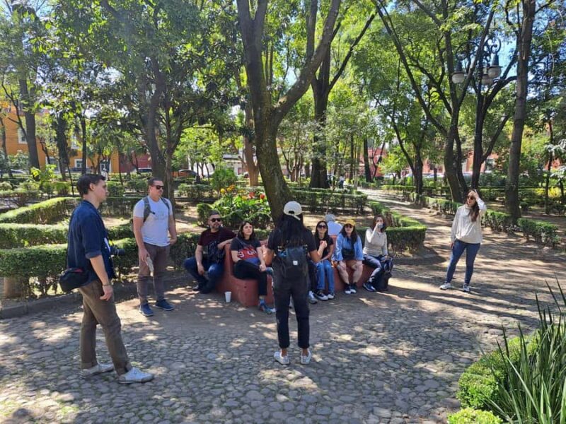 Guided Tour Coyoacan neighborhood and Leon Trotsky Museum - Logistics and Practical Tips for Participants