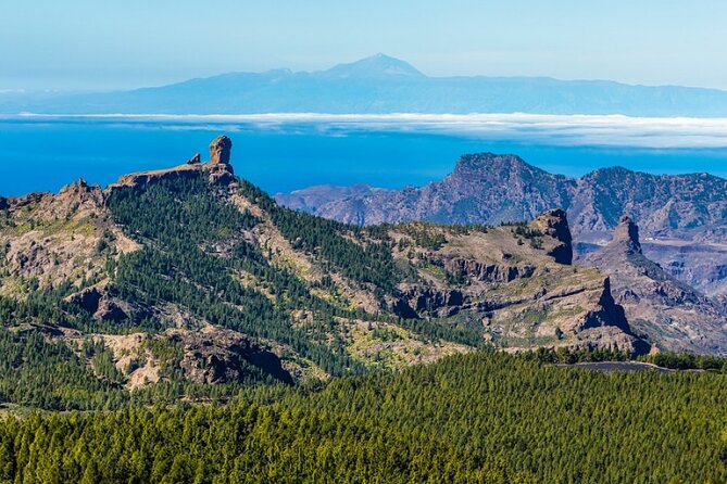 Guided tour: Discover Gran Canaria - Discover the Best of Gran Canaria in a Day