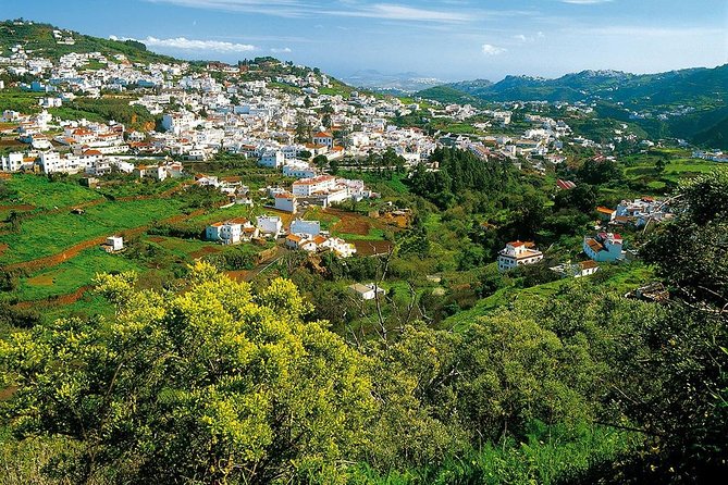 Guided tour: Discover Gran Canaria - Visiting the Aloe Vera Plantation and Its Natural Benefits