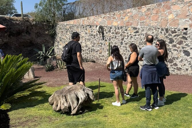 Guided tour EN Teotihuacan - Breakfast EN cave-round transport - Cultural and Artistic Highlights at the Art Gallery