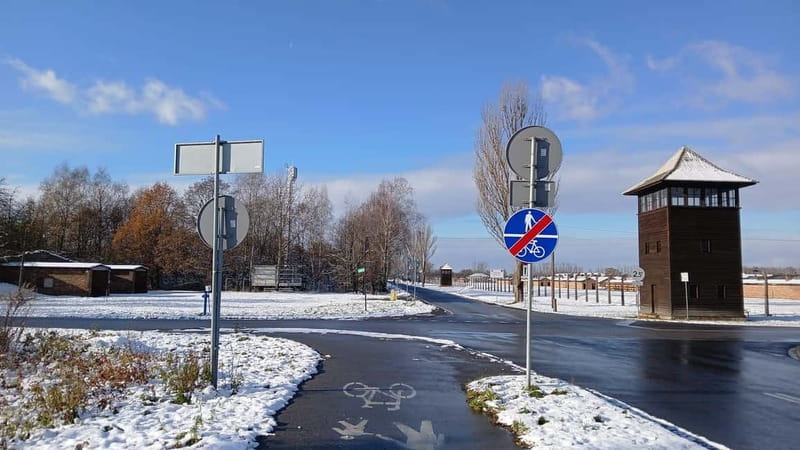 Guided Tour from Kraków: Museum of Owicim,Brzezinka - The Sum Up: A Reflective and Educational Day Outside Kraków