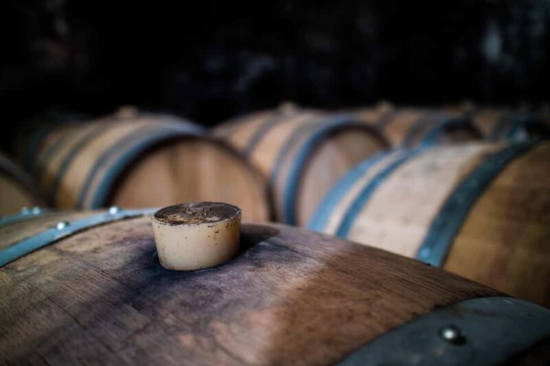 Guided tour from vine to glass - Key Points