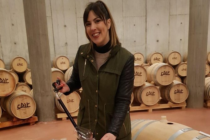 Guided tour glass in hand with wine tasting directly from the barrel - Bodegas Dominio de Cair: An Intro to the Winery in Castile and León