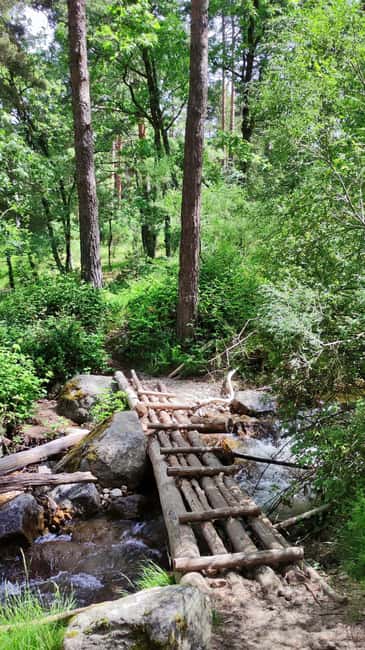 Guided Tour in Valsaín: The Battle of La Granja (Segovia) - The Guides: Knowledgeable and Passionate