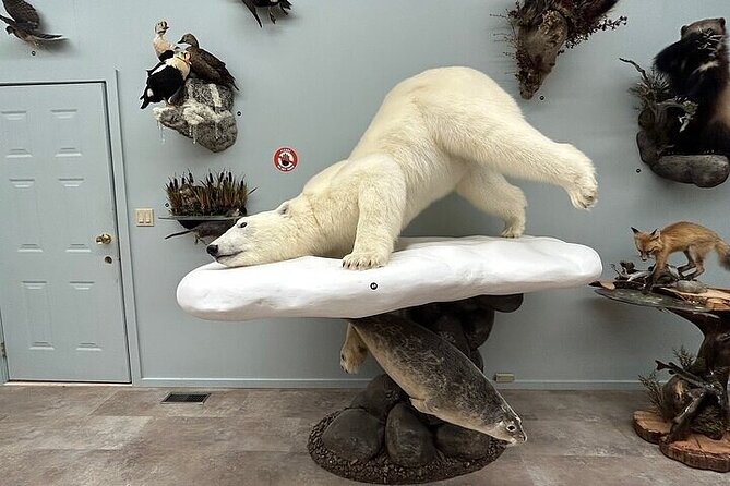 Guided Tour in Wildlife Gallery - The Sum Up: An Artistic Encounter with Northern Wildlife