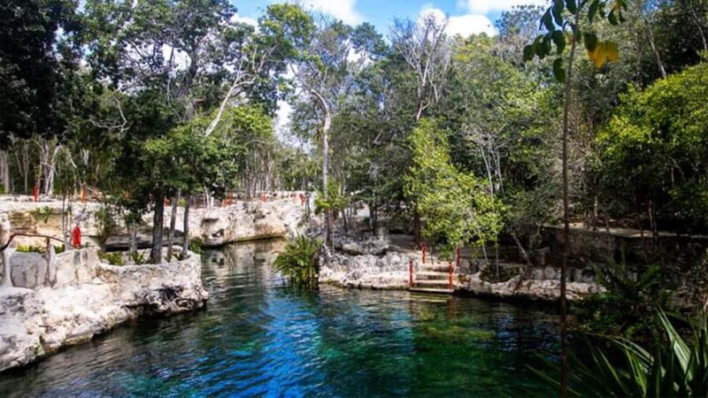 Guided tour of 4 cenotes at Casa Tortugas with transportation and buffet - A Close Look at the Cenote Tres Zapotes and Its Jade Waters
