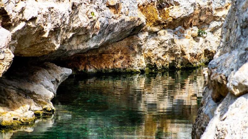 Guided tour of 4 cenotes at Casa Tortugas with transportation and buffet - Suitability for Different Visitors