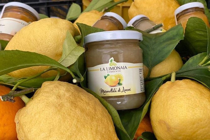 Guided tour of a historic lemon grove in Sorrento - The Tour Itself: A Guided Walk Through Citrus and Olive Trees
