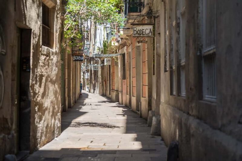 Guided tour of Barcelona in French (Old Town & Instagram spots) - Visiting Iconic Sites like Barcelona Cathedral and Santa Maria del Mar