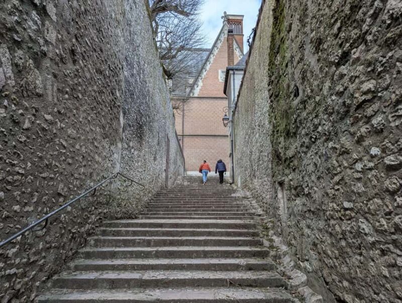 Guided tour of Blois - Key Points
