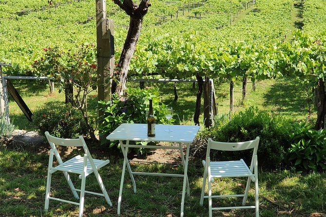 Guided tour of Bodegas Granbazán - Summing Up the Bodegas Granbazán Tour