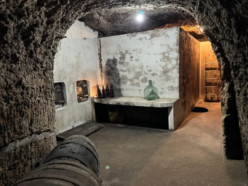 Guided tour of Bodegas J.F. Iradier, Rioja Alavesa - Explore Bodegas J.F. Iradier in Rioja Alavesa for a Genuine Wine Experience