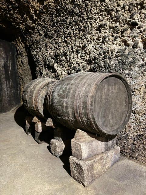 Guided tour of Bodegas J.F. Iradier, Rioja Alavesa - Exploring the Traditional and Modern Winery Facilities