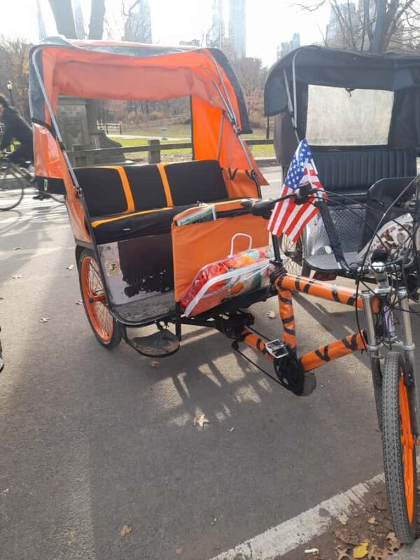 Guided tour of central park - Key Points