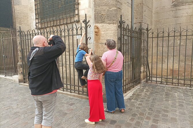 Guided tour of Dijon with your private professional guide! - Ending in the City of Gastronomy and Wine