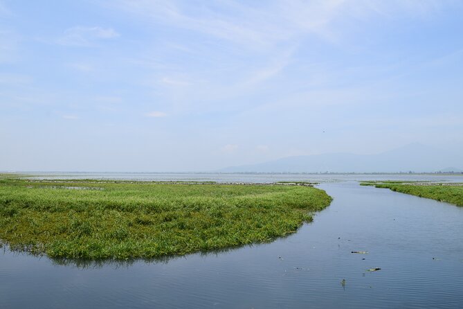 Guided Tour of Guachimontones and Tequila Distillery - The Role of the Quarries of El Güero in the Experience