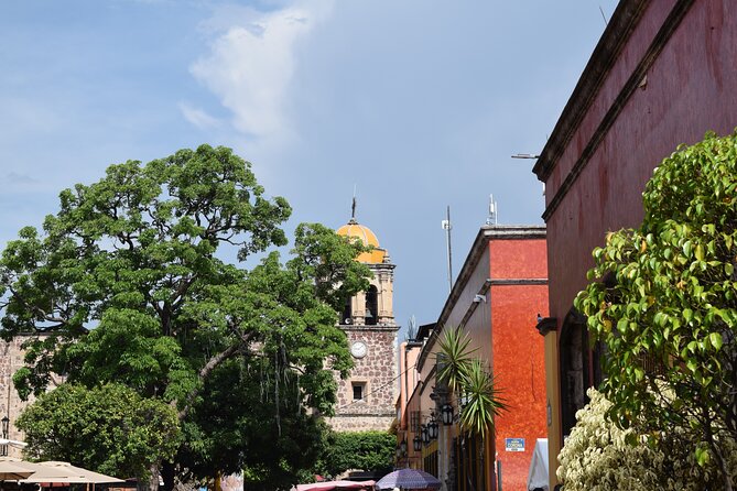 Guided Tour of Guachimontones and Tequila Distillery - Pricing and Value for Money