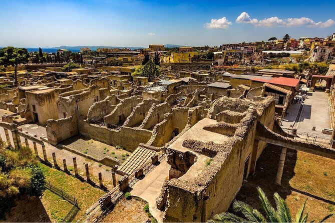 Guided Tour of Herculaneum with Lunch and Ticket Included - Exploring the Guided Tour of Herculaneum with Lunch and Ticket Included