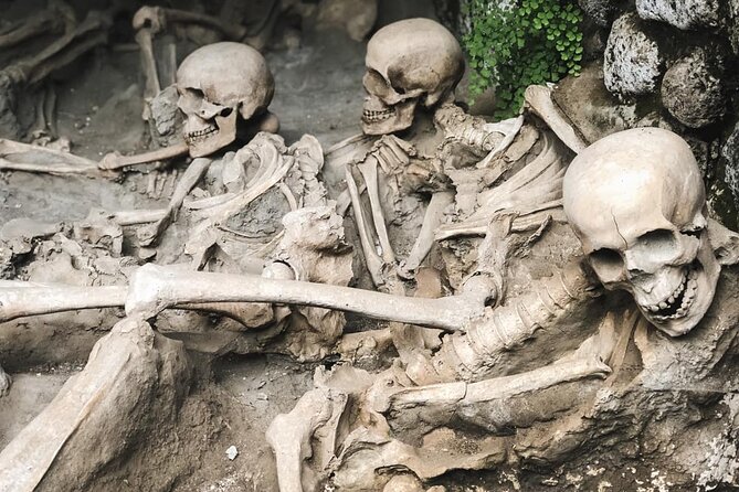 Guided Tour of Herculaneum with Lunch and Ticket Included - The Scenic Aspect: Climbing Mount Vesuvius