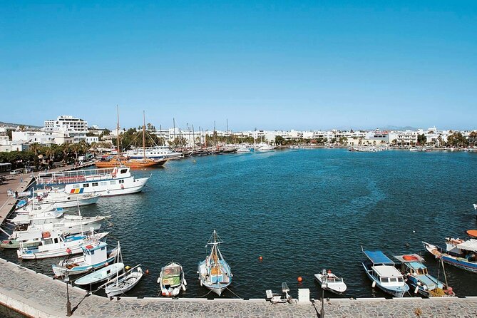 Guided Tour of Kos Town Asclepeion and Zia with Wine Tasting - Visiting the Ancient Asclepeion Site