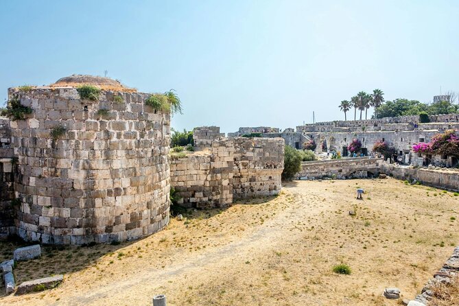 Guided Tour of Kos Town Asclepeion and Zia with Wine Tasting - Logistics and Group Experience