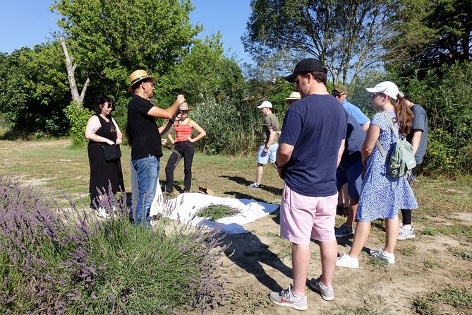 Guided tour of Lavender Distillery between Provence & Camargue - Accessibility and Weather Considerations