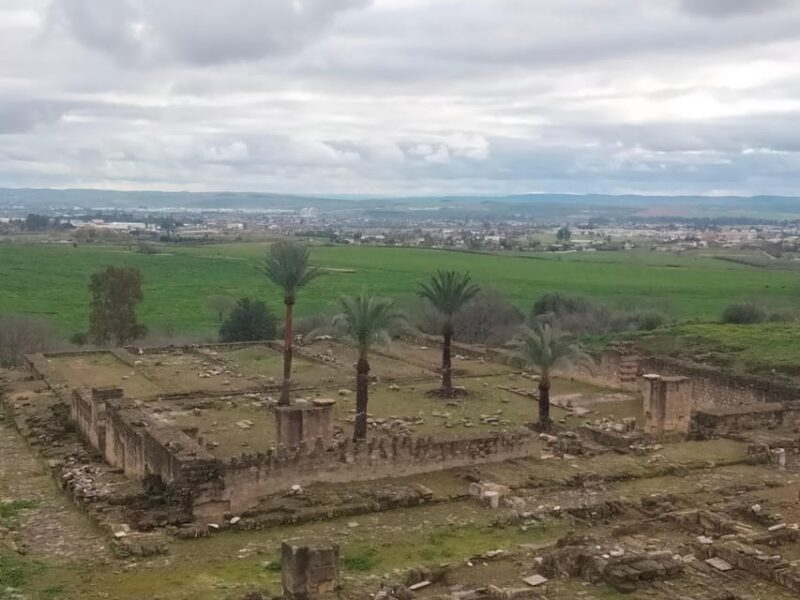 Guided tour of Medina Azahara only in french - The Unique Setting of Medina Azahara Near Cordoba