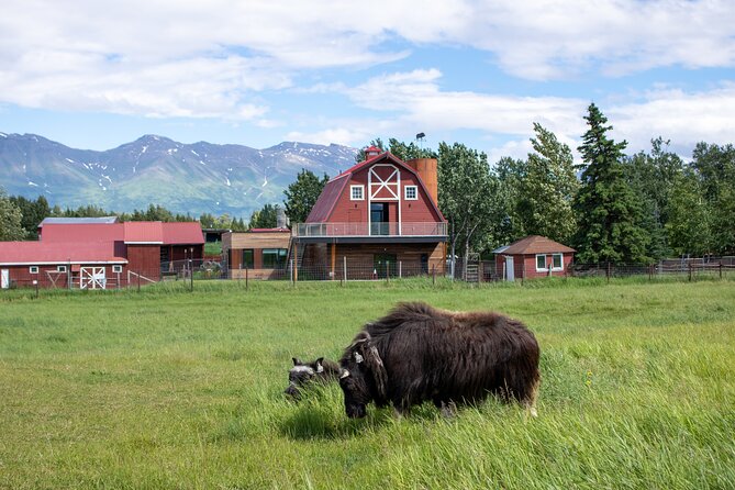 Guided Tour of Musk Ox Farm & Scenic Drive from Anchorage - What Makes the Musk Ox Farm Special