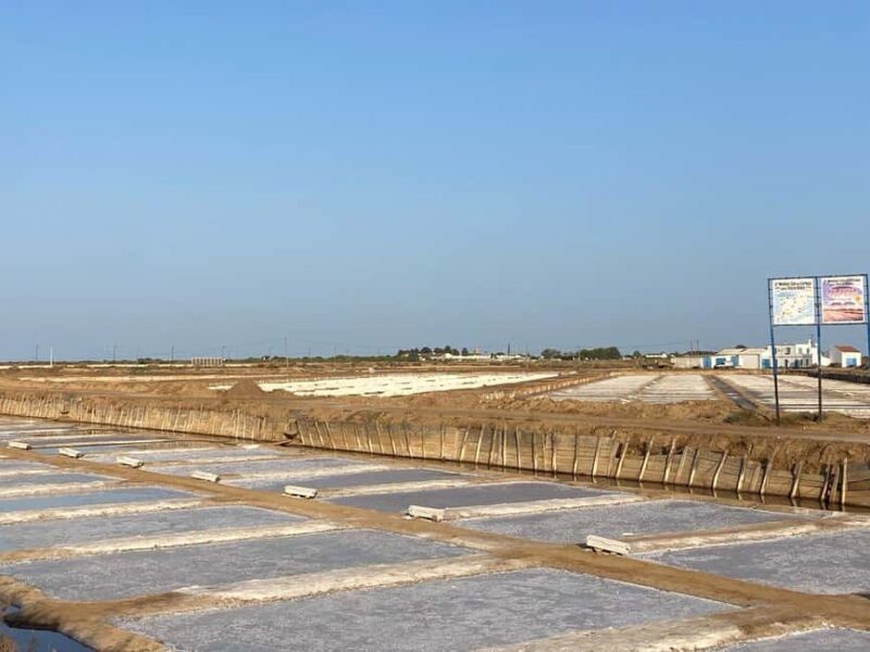 Guided tour of Tavira with tasting - Discovering Tavira Castle and Gardens