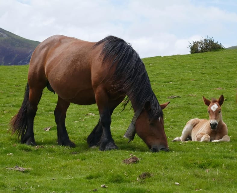 Guided tour of the 5 most beautiful towns in Basque Country - Ainhoa, One of the Most Beautiful Traditional Basque Villages