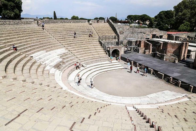 guided tour of the archaeological excavations of Pompeii - Why Choose This Tour for Your Pompeii Visit