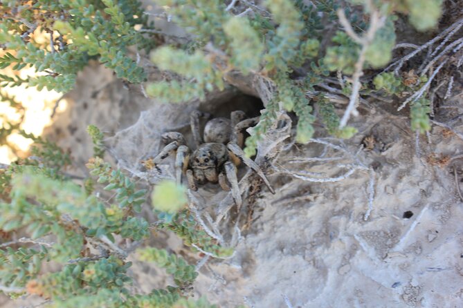 Guided tour of the Bardenas Reales de Navarra by 4x4 - Exploring the Iconic Sites of Bardenas Reales