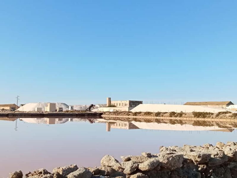 Guided tour of the Cabo de Gata salt flats - Discover the Unique Wetlands of Cabo de Gata