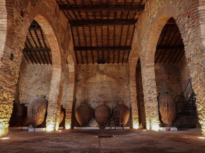 Guided tour of the Cella Vinaria Antiqua Wine Cellar Museum - The History and Significance of Talha Wine