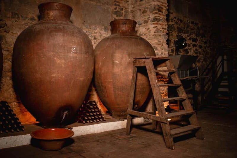 Guided tour of the Cella Vinaria Antiqua Wine Cellar Museum - Practical Details and Booking Options
