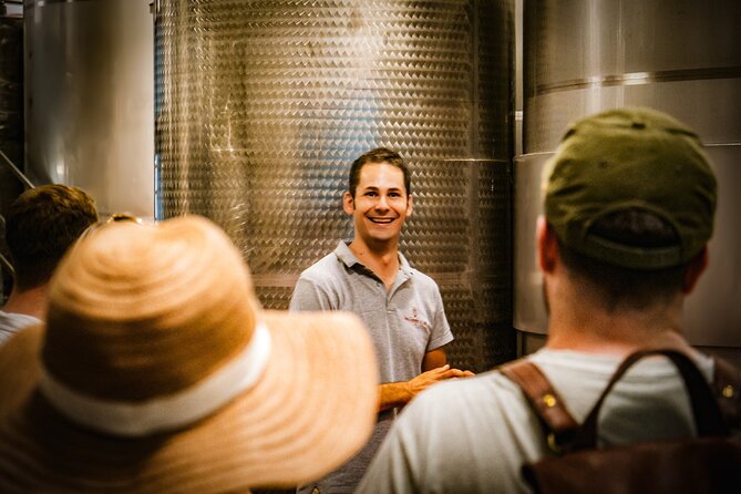 Guided tour of the cellars with wine tasting and lunch - The View and Atmosphere