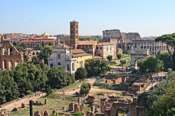 Guided Tour of the Colosseum with Access to the Arena, Roman Forum and Palatine Hill - Practical Logistics and Group Dynamics