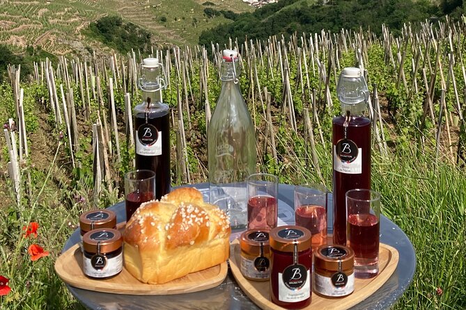 Guided Tour of the Coteaux Côte Rôtie for Parents and Children Duos - The Scenic and Educational Stops in Detail