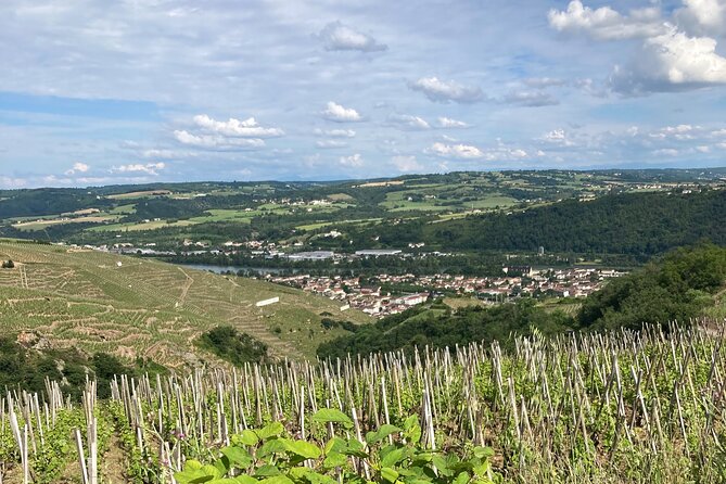 Guided Tour of the Coteaux Côte Rôtie for Parents and Children Duos - Logistics and Practical Tips