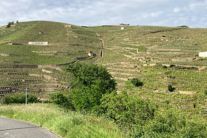 Guided Tour of the Coteaux Côte Rôtie for Parents and Children Duos - Who Will Love This Tour?