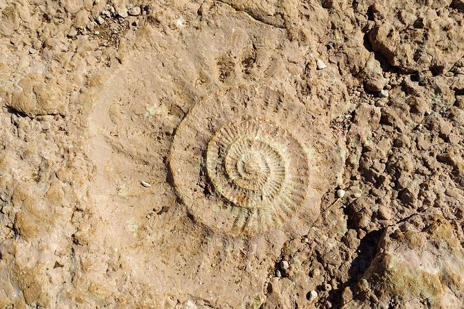 Guided tour of the Dolmens and El Torcal - The Guides: Multilingual Experts with Passion