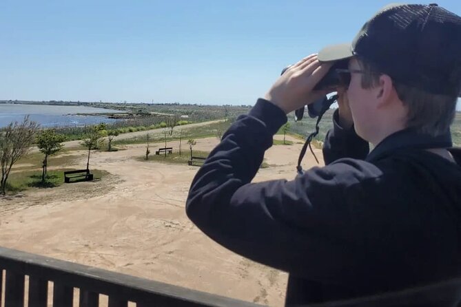 Guided tour of the Ebro Delta (North Delta) - Discover the Ebro Delta on a Guided Tour in Catalonia