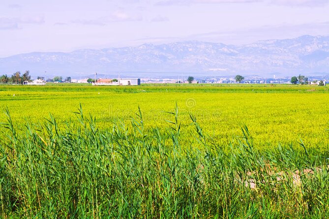 Guided tour of the Ebro Delta (North Delta) - Starting Point at the Ecomuseu in Deltebre
